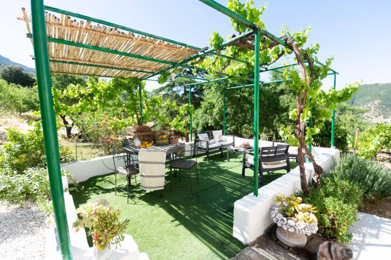 Villa Ferulas Олиена Екстериор снимка