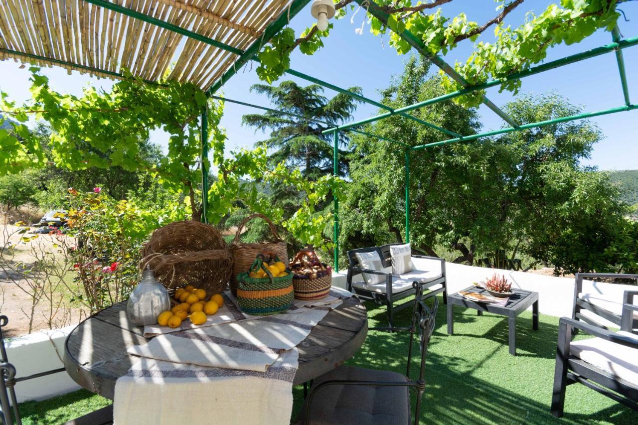 Villa Ferulas Олиена Екстериор снимка