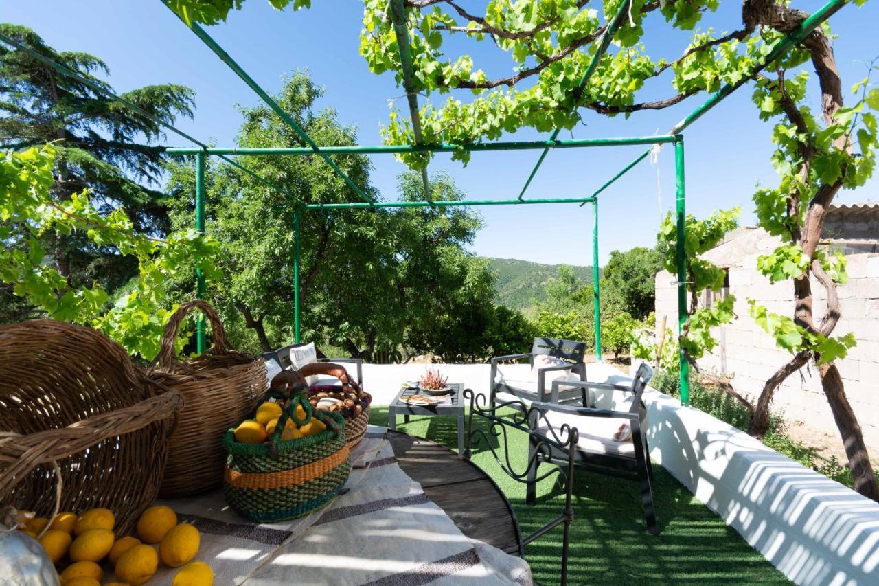 Villa Ferulas Олиена Екстериор снимка